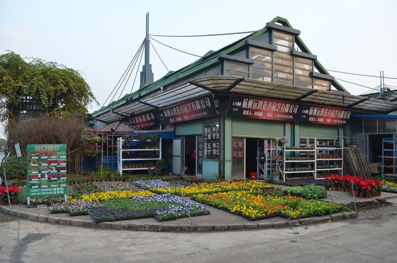 2014 International Tour, China, Xiaoshan Flower Market, Hangzhou